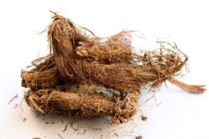 Jatamansi Extract