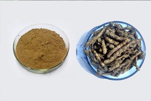 Kutki Extract
